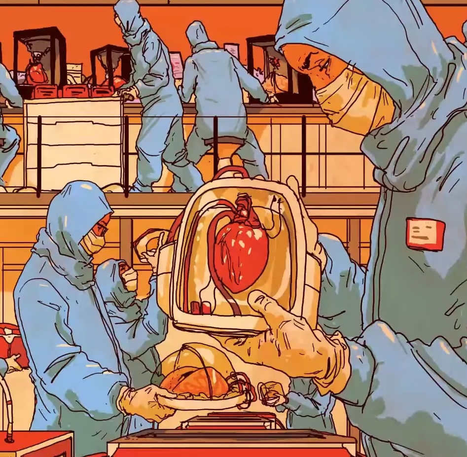 Organ Manufacturing